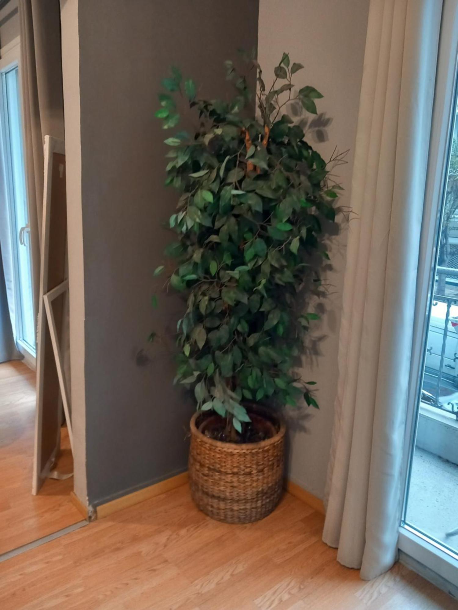 Closer "Egnatia Apartment 2" Θεσσαλονίκη Εξωτερικό φωτογραφία